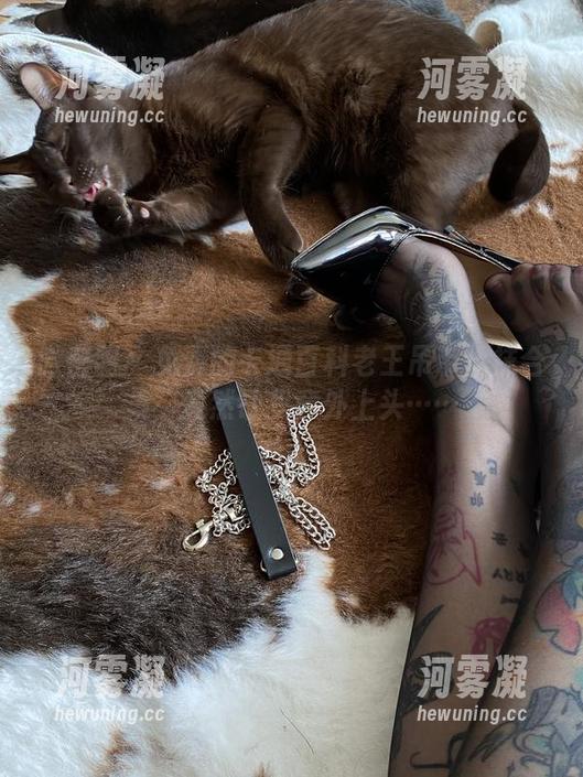 微密圈 - 免费的卡通百科老王吊带丝袜合集，竟然让我意外上头……